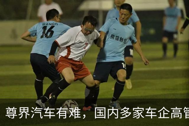 尊界汽车有难，国内多家车企高管“补刀”