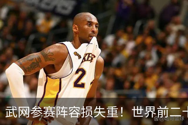 武网参赛阵容损失重！世界前二十掀起退赛潮，WTA该好好琢磨了