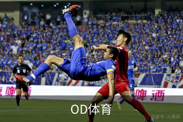 OD体育公司介绍
